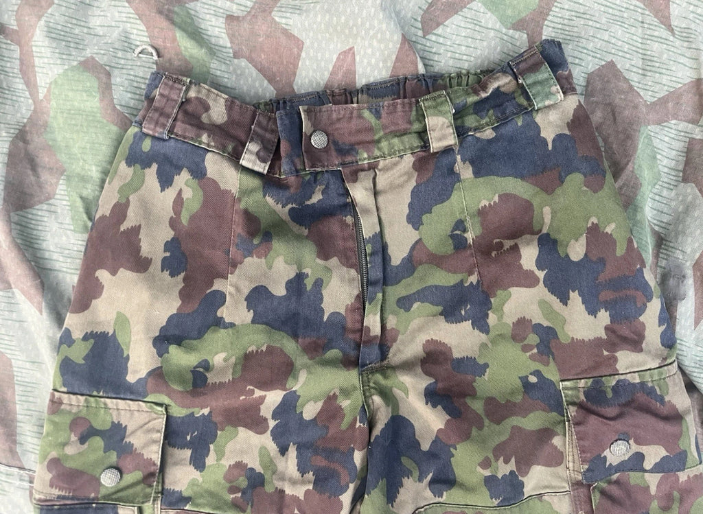 Modern Swiss army taz 90 field combat pants camo uniform soldier